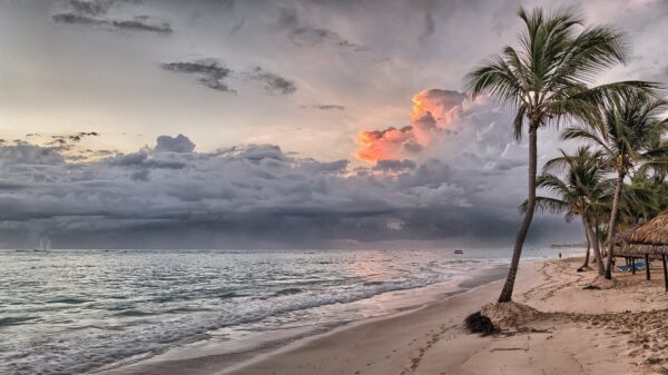 beach, sea, ocean