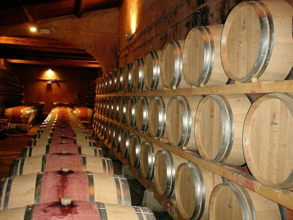 frescobaldi, wine cellar, wine barrels