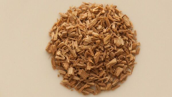 santalum album, indian sandalwood, white sandalwood