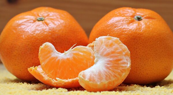 tangerines, oranges, segments