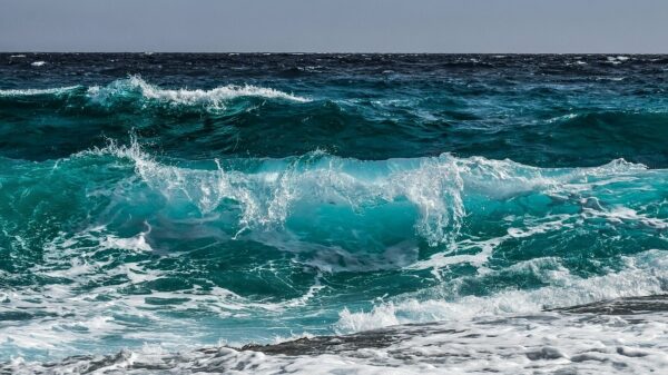 wave, water, surf